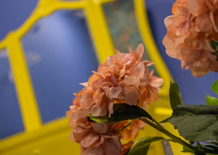 Ybaixa - Boutique Setúbal